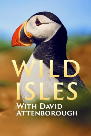 مسلسل Wild Isles مترجم