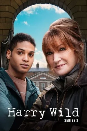 مسلسل Harry Wild مترجم