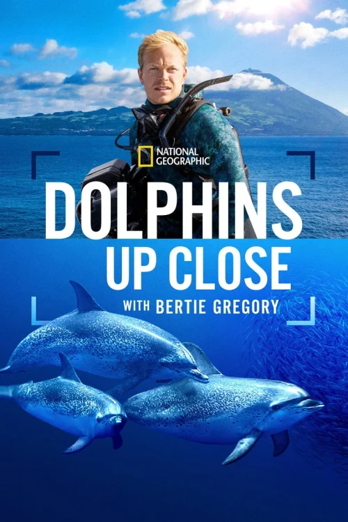 فيلم Dolphins Up Close with Bertie Gregory 2025 مترجم اون لاين